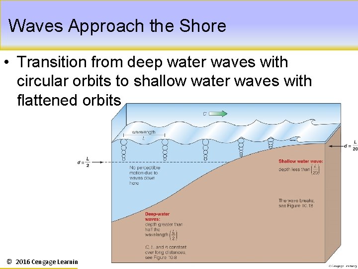 Waves Approach the Shore • Transition from deep water waves with circular orbits to