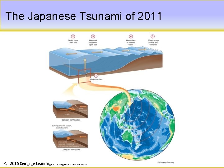 The Japanese Tsunami of 2011 © 2016 Cengage Learning. All Rights Reserved. 