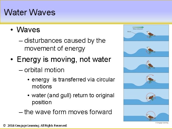 Water Waves • Waves – disturbances caused by the movement of energy • Energy