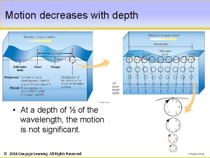 Motion decreases with depth • At a depth of ½ of the wavelength, the