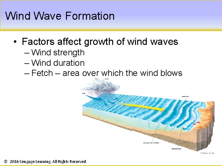 Wind Wave Formation • Factors affect growth of wind waves – Wind strength –