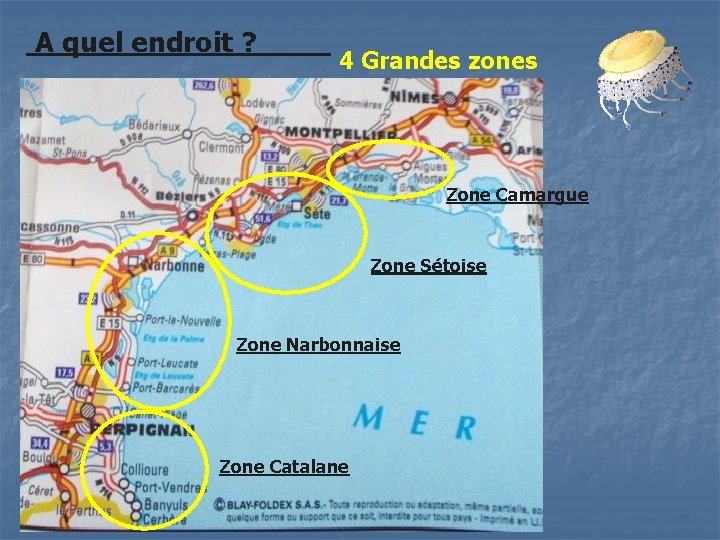 A quel endroit ? 4 Grandes zones Zone Camargue Zone Sétoise Zone Narbonnaise Zone