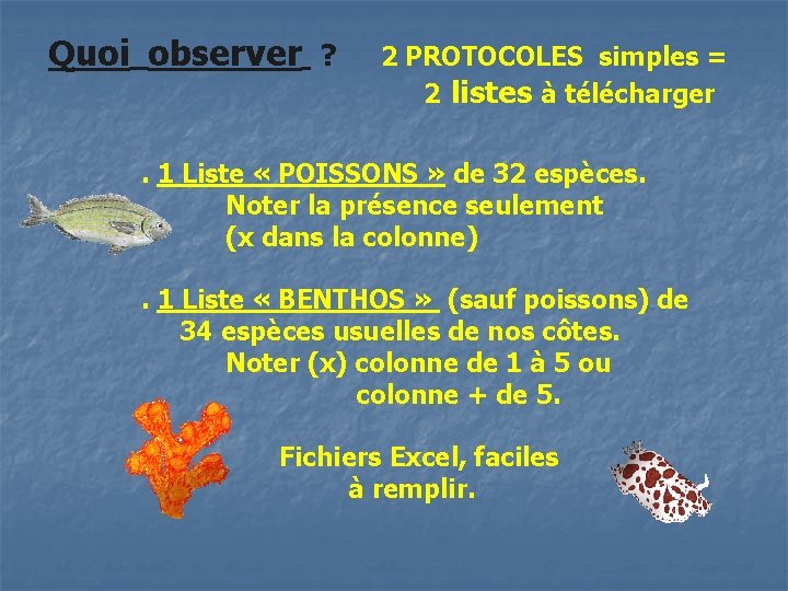 Quoi observer ? 2 PROTOCOLES simples = 2 listes à télécharger . 1 Liste