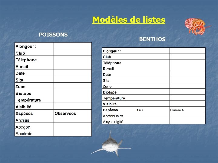 Modèles de listes POISSONS BENTHOS 