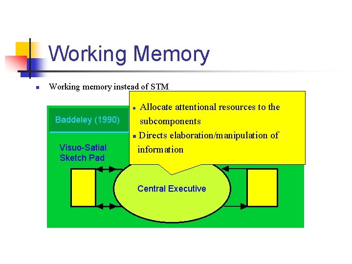 Working Memory n Working memory instead of STM Allocate attentional resources to the subcomponents