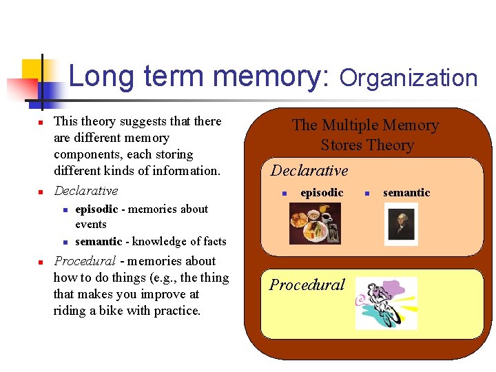 Long term memory: Organization n n This theory suggests that there are different memory