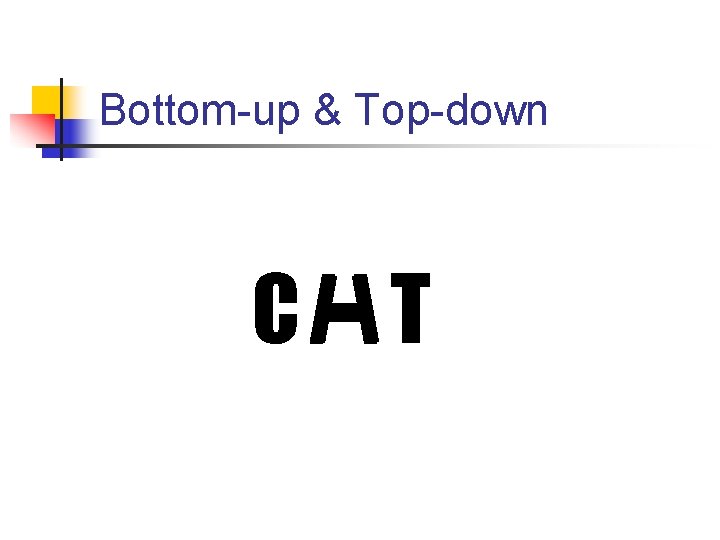 Bottom-up & Top-down C T 