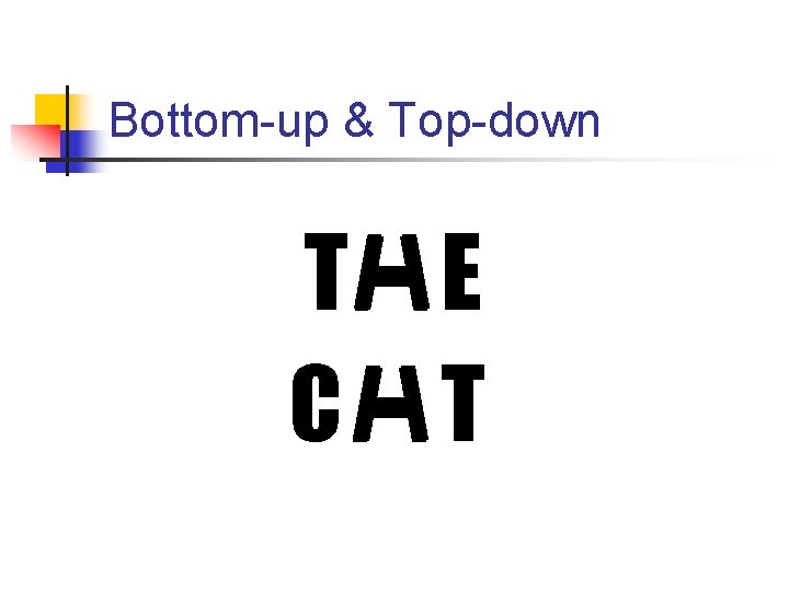 Bottom-up & Top-down T E C T 