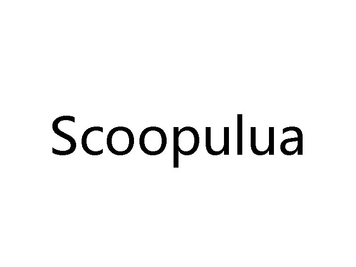 Scoopulua 