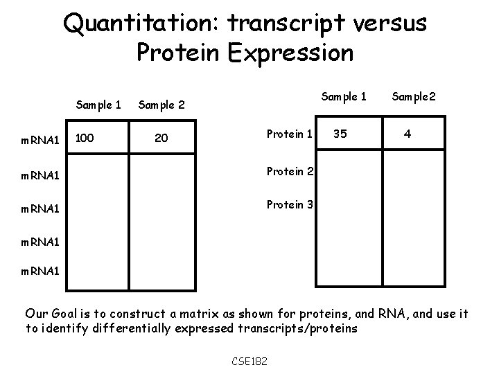 Quantitation: transcript versus Protein Expression Sample 1 m. RNA 1 100 Sample 1 Sample