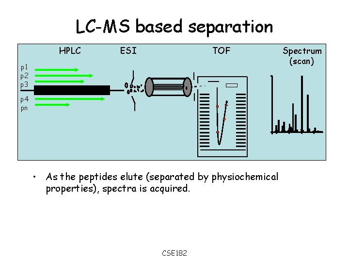 LC-MS based separation HPLC ESI TOF p 1 p 2 p 3 p 4