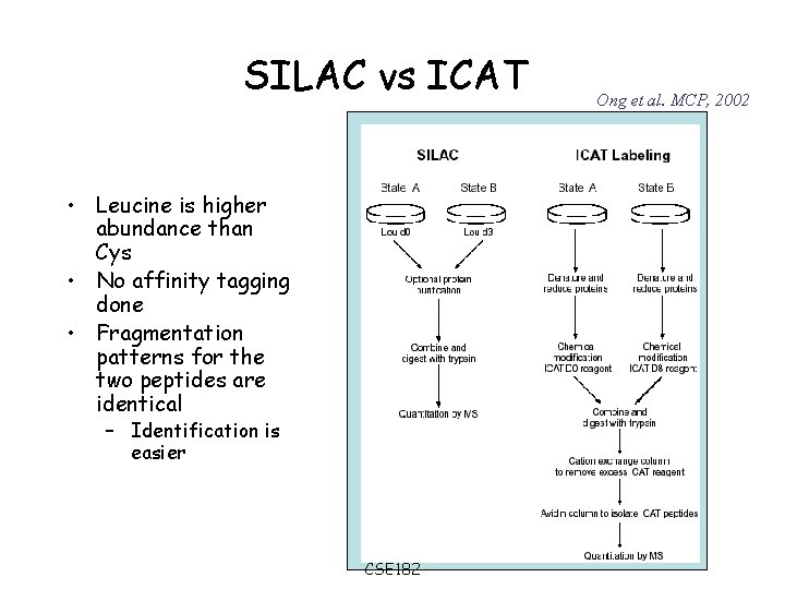 SILAC vs ICAT • Leucine is higher abundance than Cys • No affinity tagging