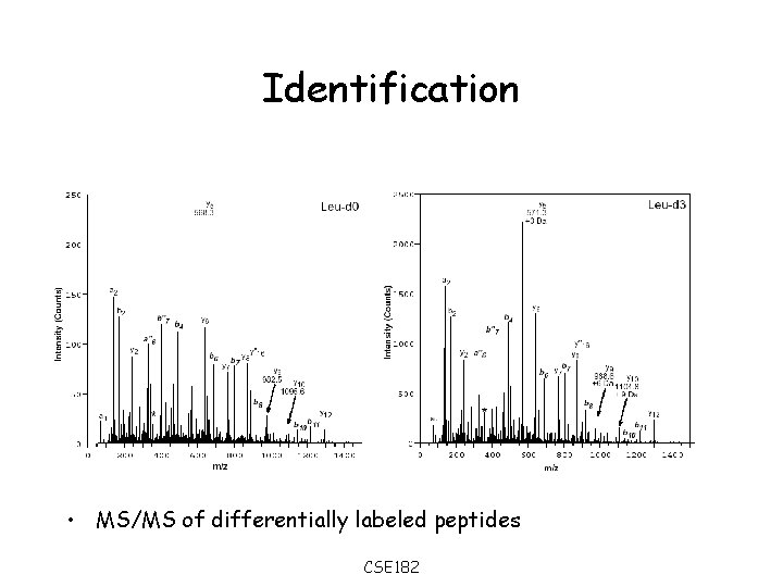 Identification • MS/MS of differentially labeled peptides CSE 182 