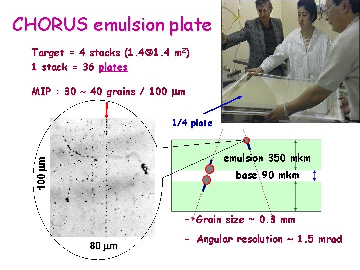 CHORUS emulsion plate Target = 4 stacks (1. 4 m 2) 1 stack =