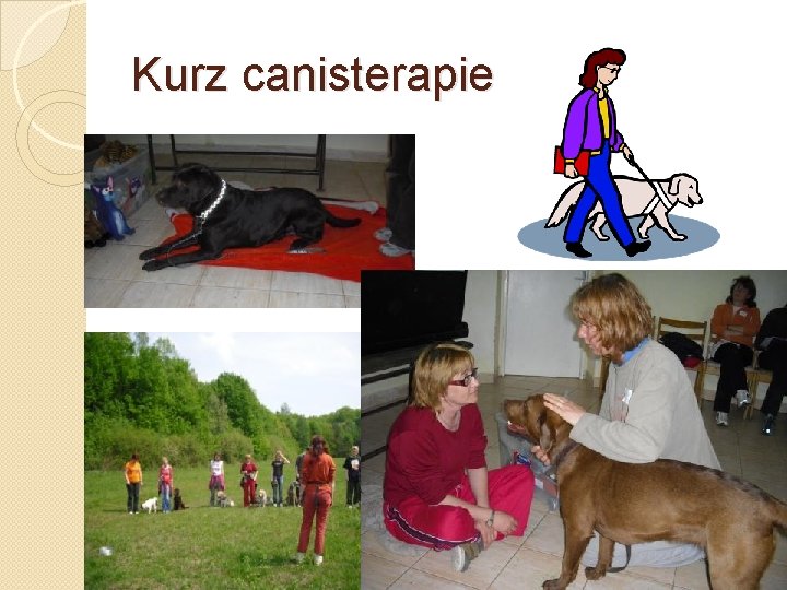 Kurz canisterapie Kurz canisterapie