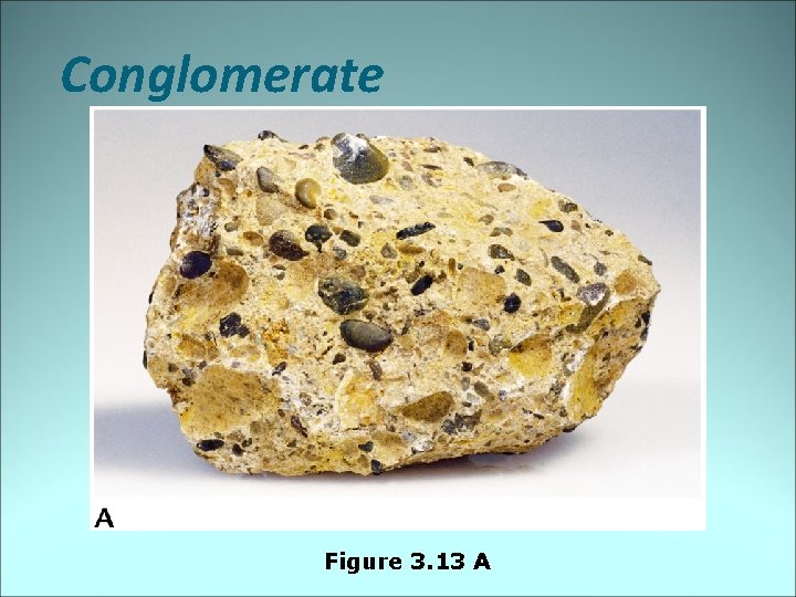 Conglomerate Figure 3. 13 A 