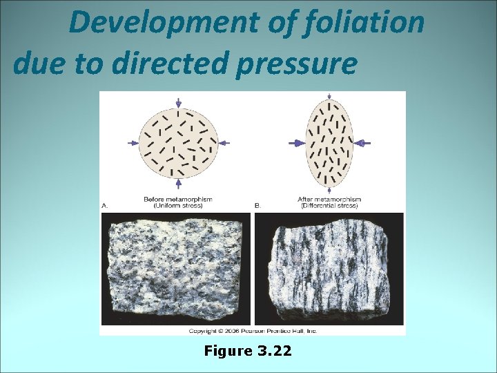 Development of foliation due to directed pressure Figure 3. 22 