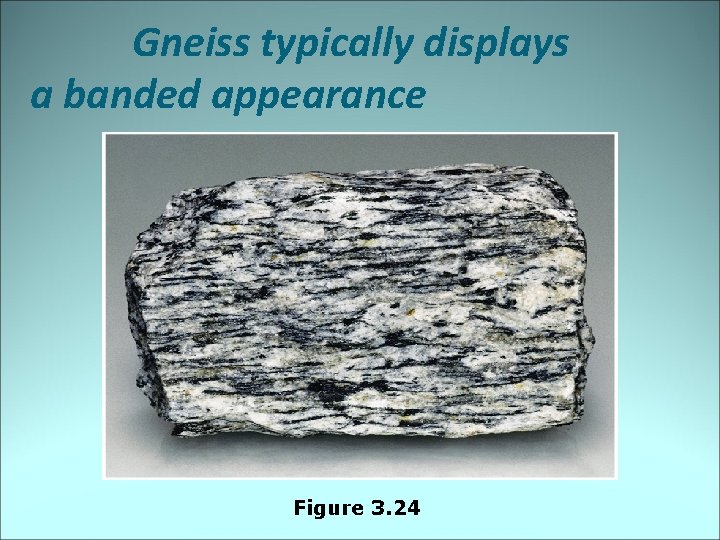 Gneiss typically displays a banded appearance Figure 3. 24 