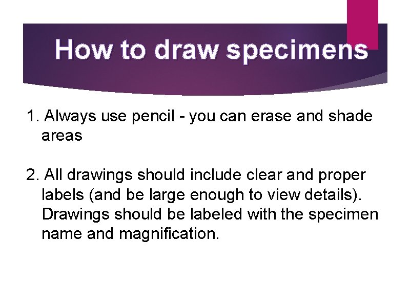 How to draw specimens 1. Always use pencil - you can erase and shade How to draw specimens 1. Always use pencil - you can erase and shade