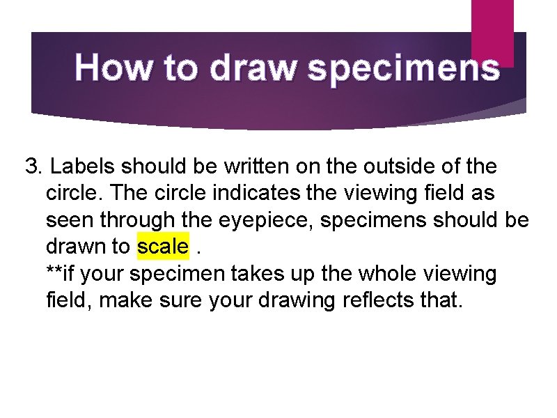 How to draw specimens 3. Labels should be written on the outside of the