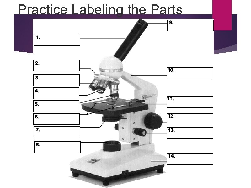 Practice Labeling the Parts 