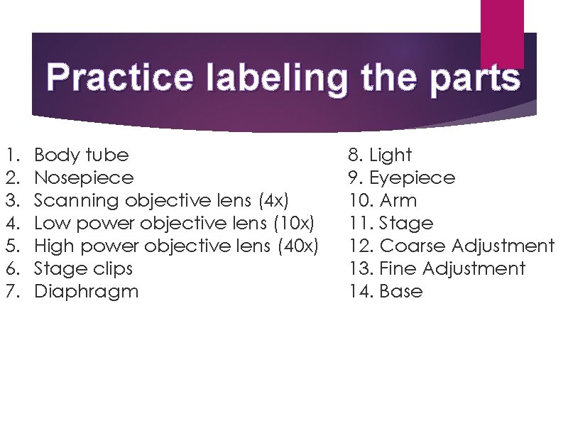 Practice labeling the parts 1. 2. 3. 4. 5. 6. 7. Body tube Nosepiece Practice labeling the parts 1. 2. 3. 4. 5. 6. 7. Body tube Nosepiece