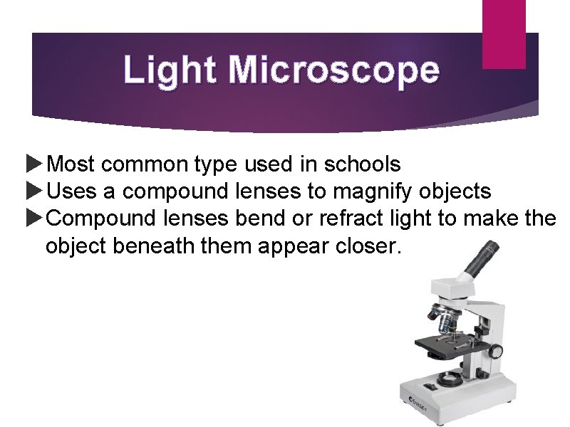 Light Microscope Most common type used in schools Uses a compound lenses to magnify