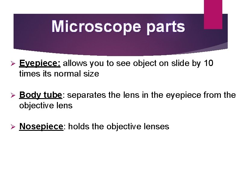 Microscope parts Ø Eyepiece: allows you to see object on slide by 10 times