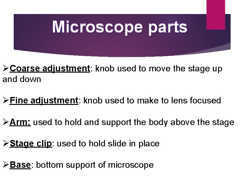 Microscope parts ØCoarse adjustment: knob used to move the stage up and down ØFine