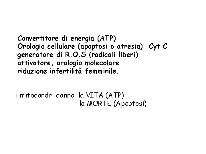 Convertitore di energia (ATP) Orologio cellulare (apoptosi o atresia) Cyt C generatore di R.