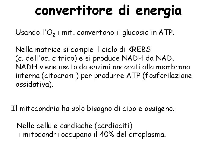 convertitore di energia Usando l'O 2 i mit. convertono il glucosio in ATP. Nella