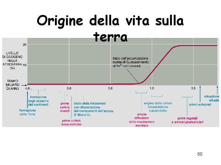 Origine della vita sulla terra 50 