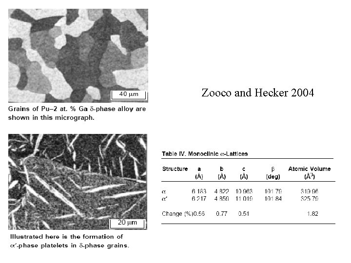 Zooco and Hecker 2004 