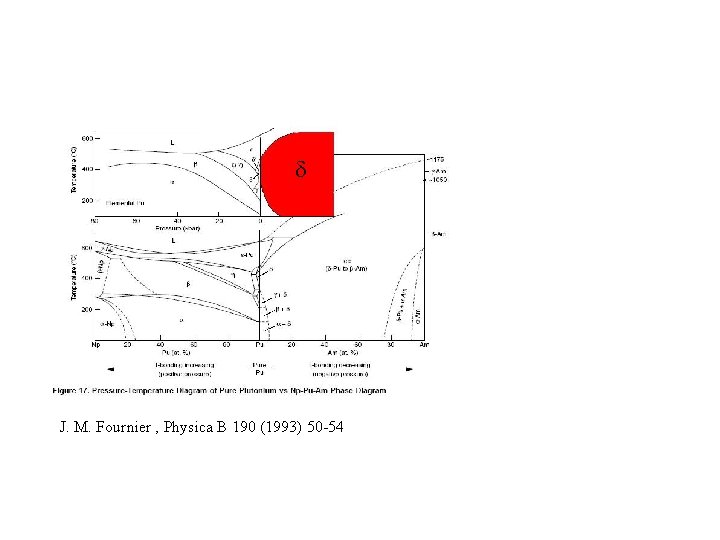  J. M. Fournier , Physica B 190 (1993) 50 -54 