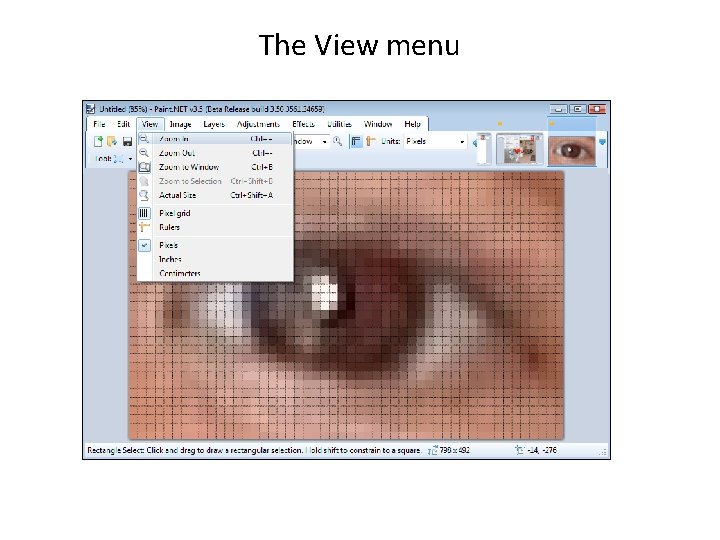 The View menu 