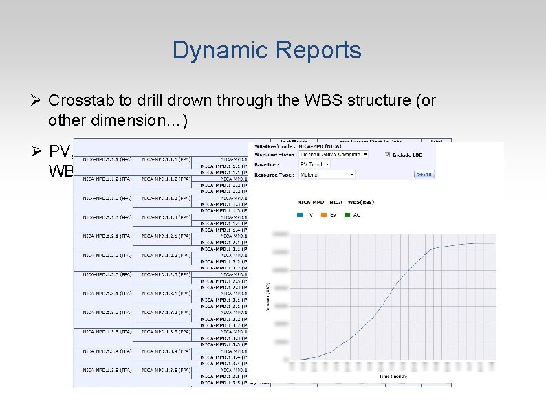 Dynamic Reports Ø Crosstab to drill drown through the WBS structure (or other dimension…)