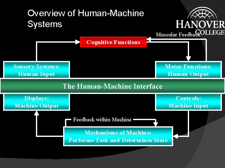 Overview of Human-Machine Systems Muscular Feedback Cognitive Functions Sensory Systems: Human Input Motor Functions: