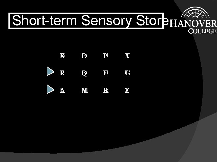 Short-term Sensory Store X D O P P U J X T R B