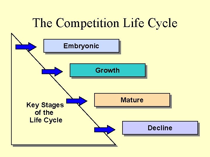 The Competition Life Cycle Embryonic Growth Key Stages of the Life Cycle Mature Decline