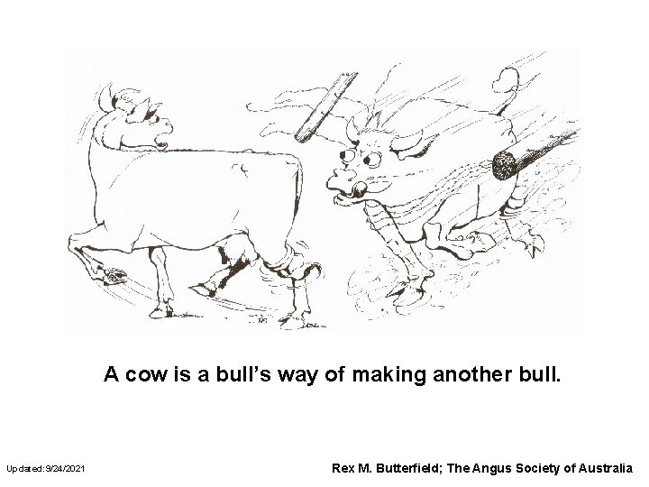 A cow is a bull’s way of making another bull. Updated: 9/24/2021 Rex M.