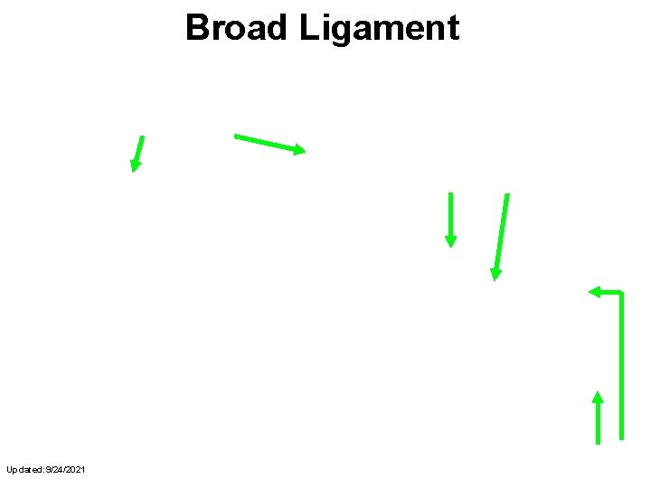 Broad Ligament mesometrium mesovarium mesosalpinx Updated: 9/24/2021 