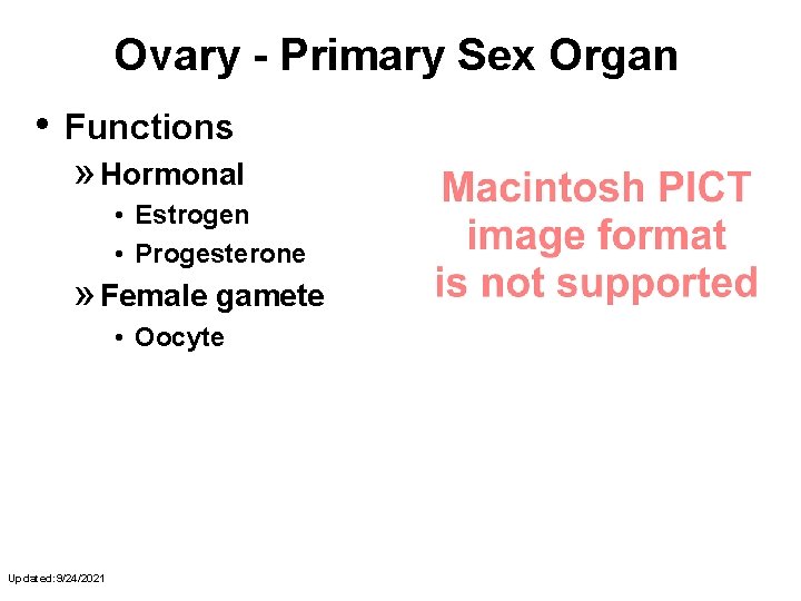 Ovary - Primary Sex Organ • Functions » Hormonal • Estrogen • Progesterone »