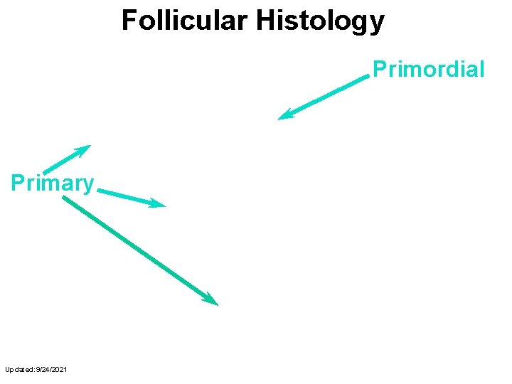 Follicular Histology Primordial Primary Updated: 9/24/2021 