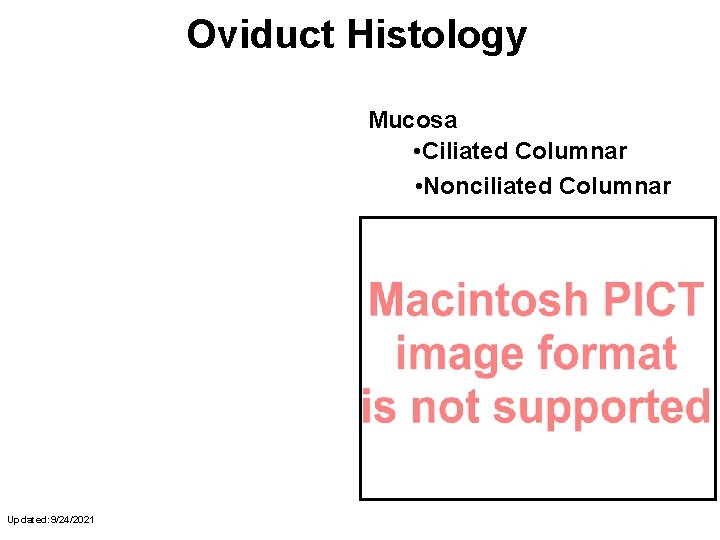 Oviduct Histology Mucosa • Ciliated Columnar • Nonciliated Columnar Updated: 9/24/2021 