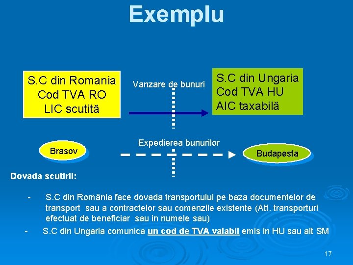 Exemplu S. C din Romania Cod TVA RO LIC scutită Brasov Vanzare de bunuri