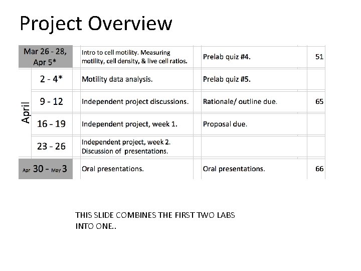 Project Overview THIS SLIDE COMBINES THE FIRST TWO LABS INTO ONE. . 