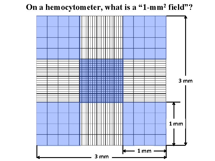 On a hemocytometer, what is a “ 1 -mm 2 field”? 3 mm 1