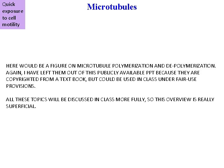 Quick exposure to cell motility Microtubules HERE WOULD BE A FIGURE ON MICROTUBULE POLYMERIZATION