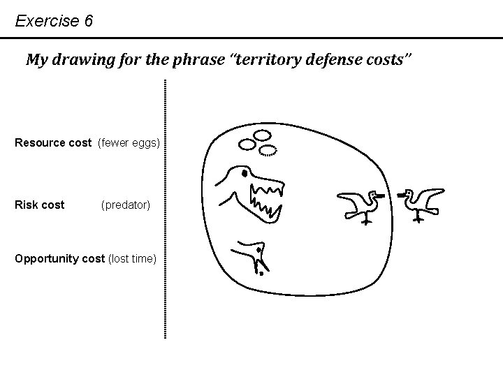 Exercise 6 My drawing for the phrase “territory defense costs” Resource cost (fewer eggs)
