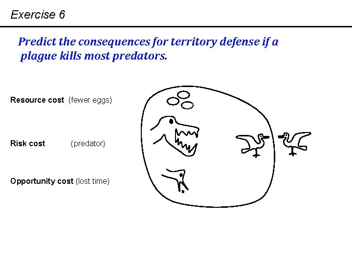 Exercise 6 Predict the consequences for territory defense if a plague kills most predators.
